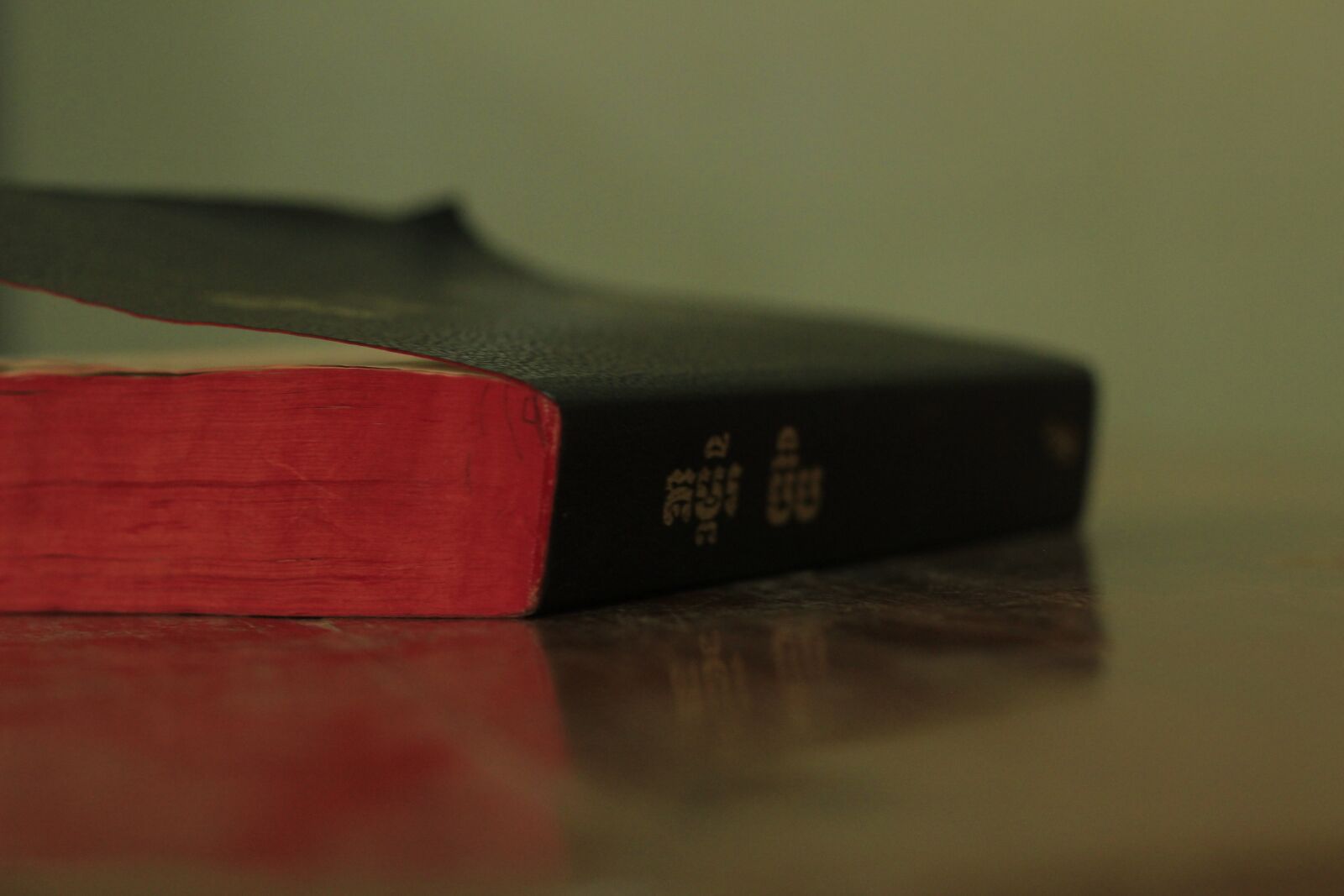 Canon EOS 600D (Rebel EOS T3i / EOS Kiss X5) + Canon EF 50mm F1.8 II sample photo. Holy bible, khmer, jesus photography
