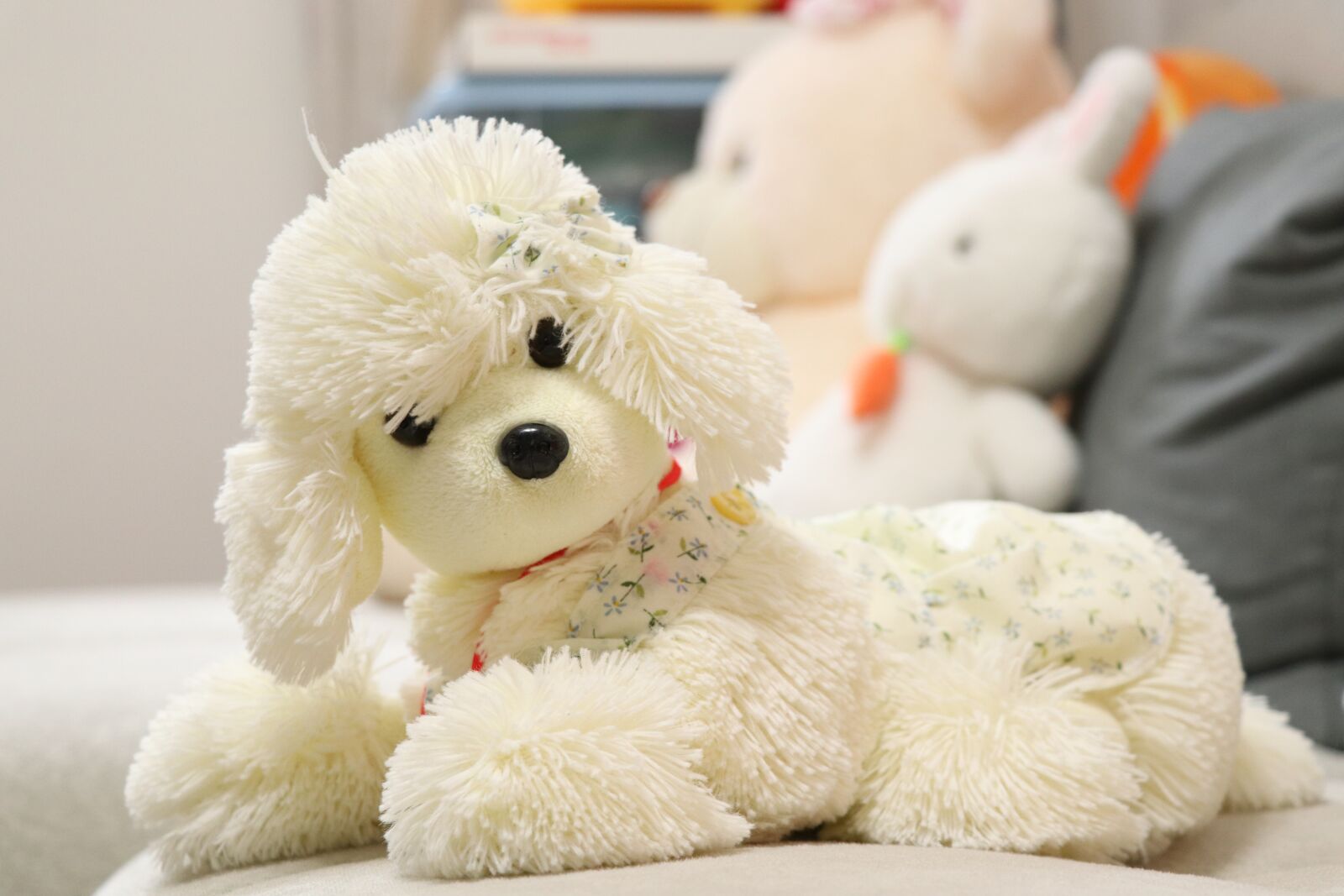 Canon EOS 77D (EOS 9000D / EOS 770D) sample photo. Plush toys, toys, cute photography