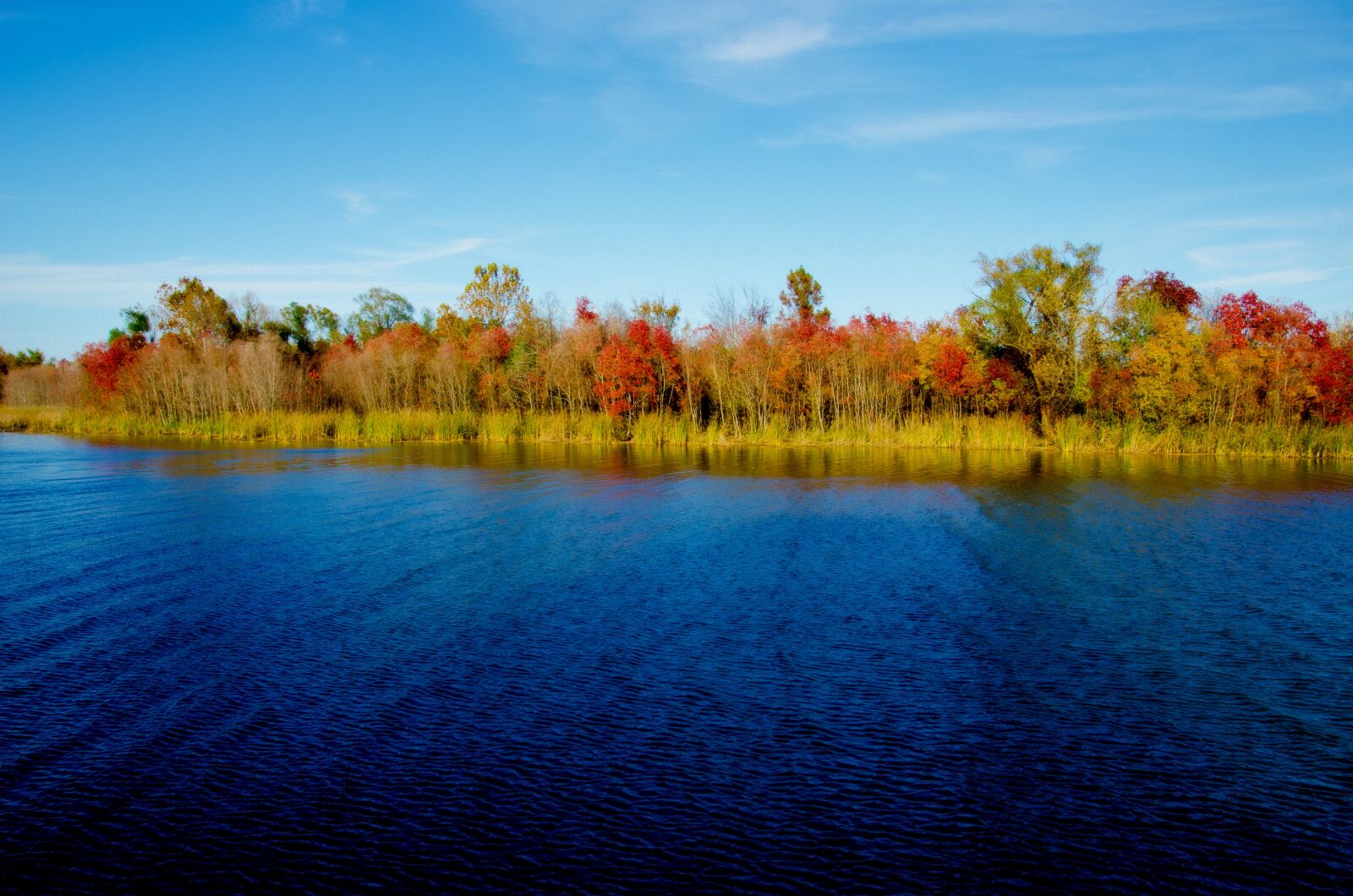 Nikon D7000 sample photo. Autumn, river, nature photography