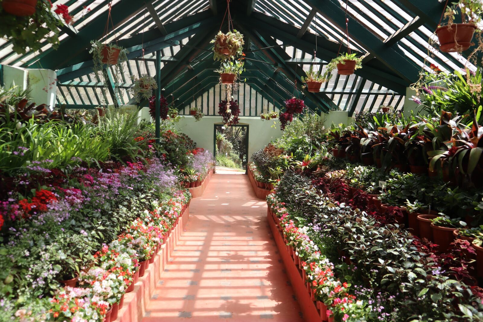 Canon EOS M50 (EOS Kiss M) sample photo. Glass house, ooty botanical photography