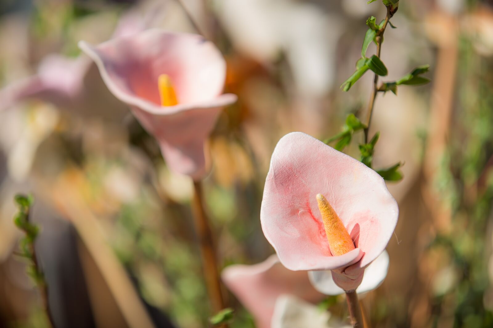 Canon EOS 6D sample photo. Flower, ceramic, blossom photography
