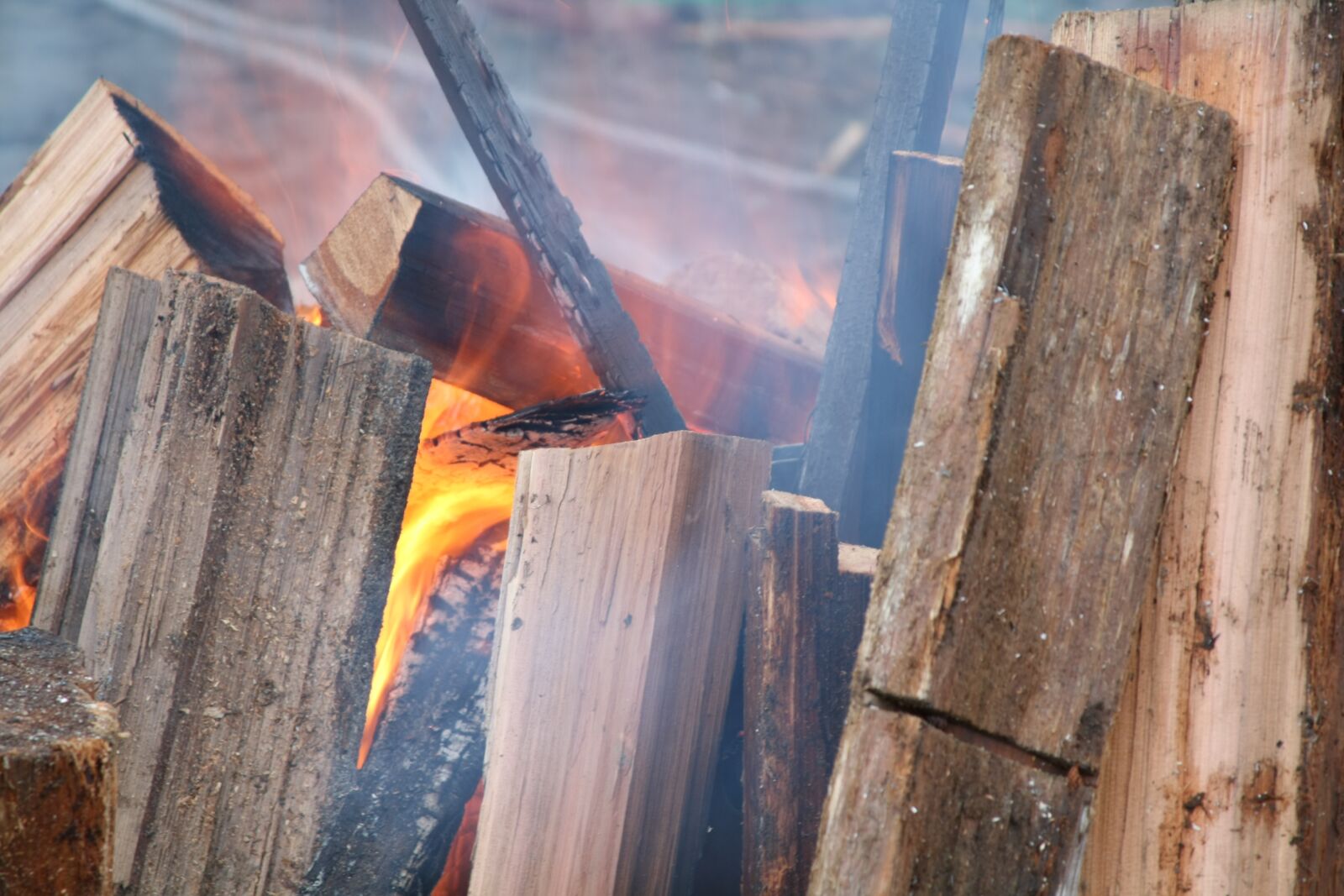 Canon EOS 1000D (EOS Digital Rebel XS / EOS Kiss F) sample photo. Fire, campfire, wood photography