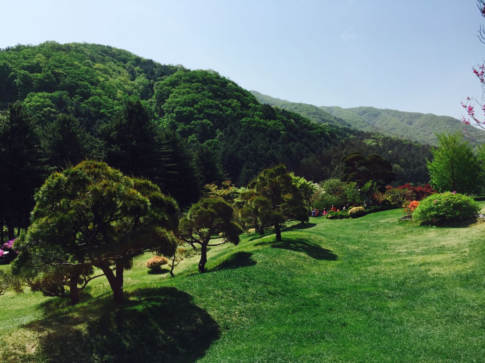 iPhone 6 Plus back camera 4.15mm f/2.2 sample photo. Movables, park, wood photography