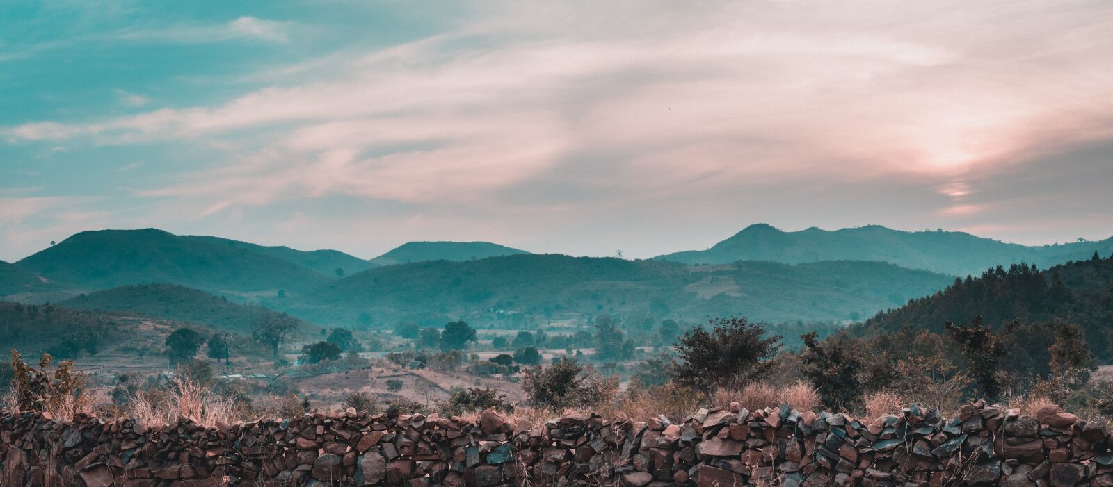 Nikon D5500 sample photo. Landscape, tree, nature photography