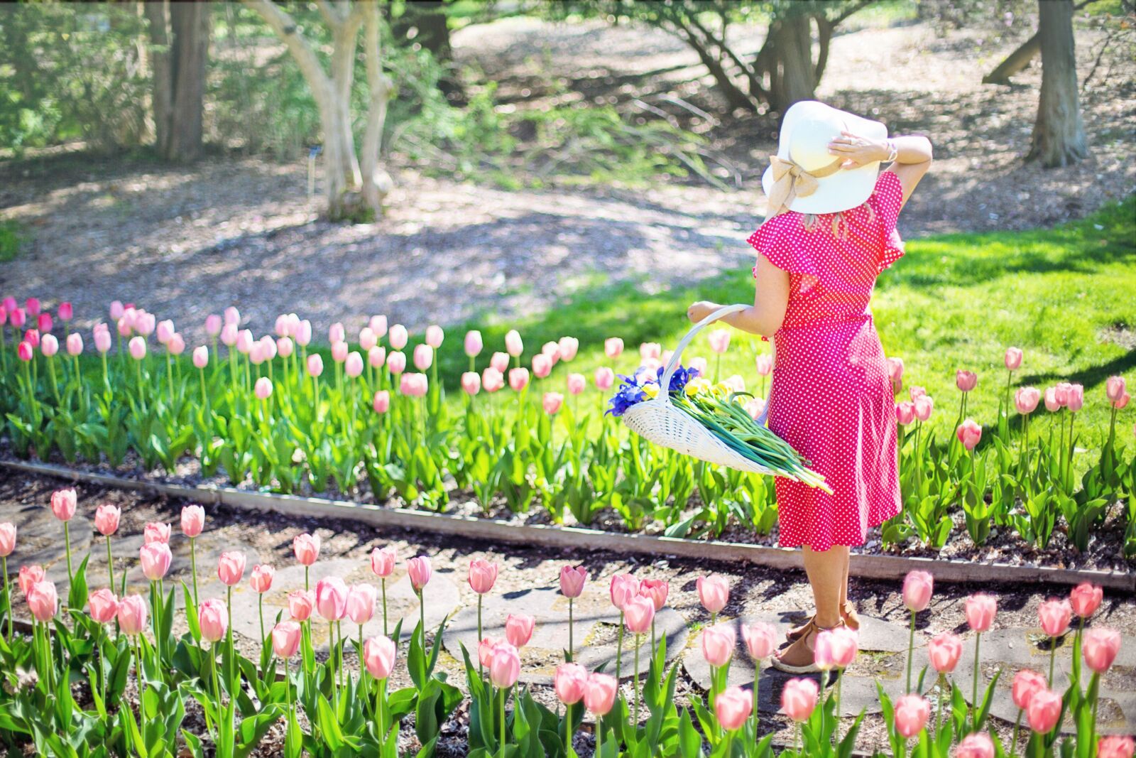 Canon EF 50mm F1.4 USM sample photo. Garden, gardening, flowers photography