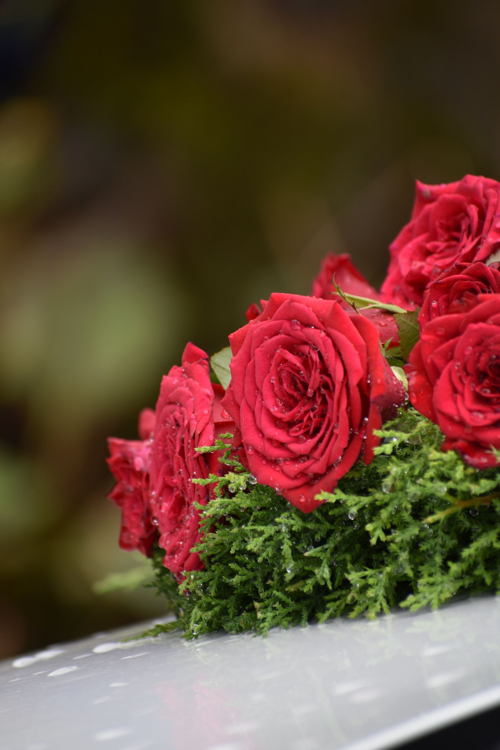 Nikon D3400 sample photo. Rose, flower, bouquet photography