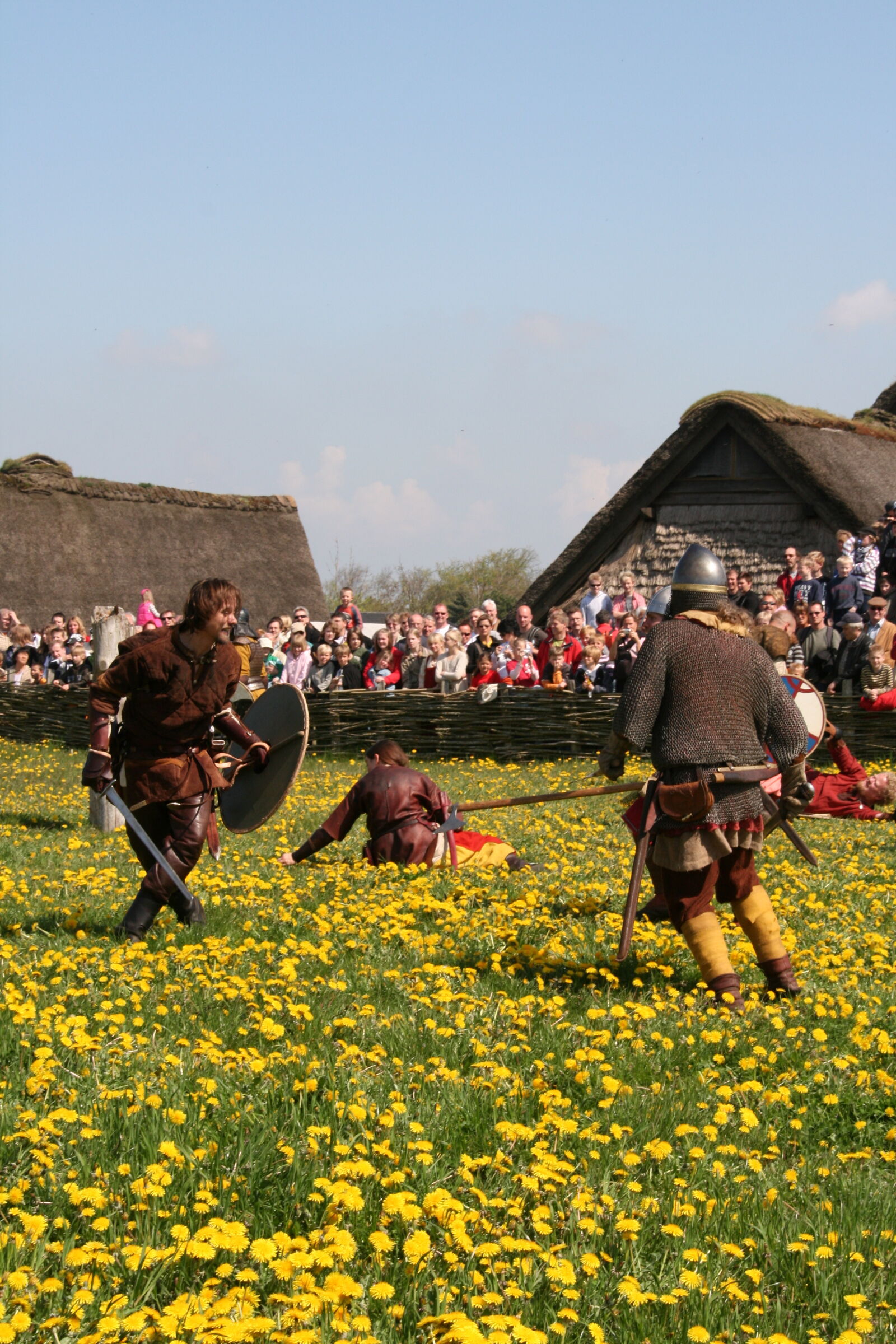 Sigma 18-200mm f/3.5-6.3 DC OS sample photo. Vikings photography