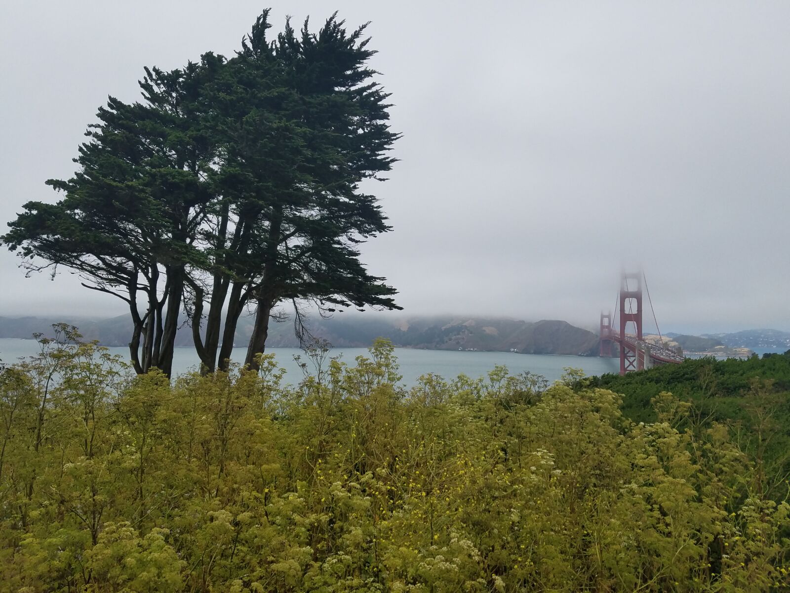 Samsung Galaxy S7 Edge sample photo. Golden, gate, bridge photography