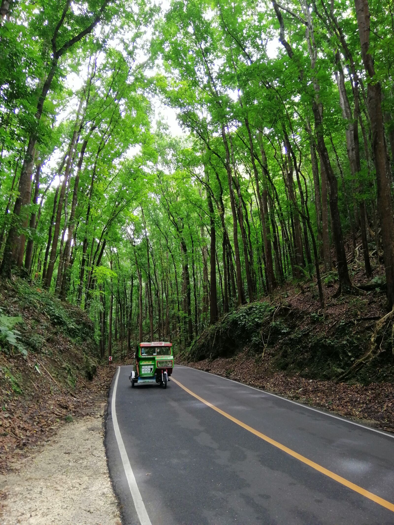 HUAWEI INE-LX1 sample photo. Asia, philippines, bohol photography