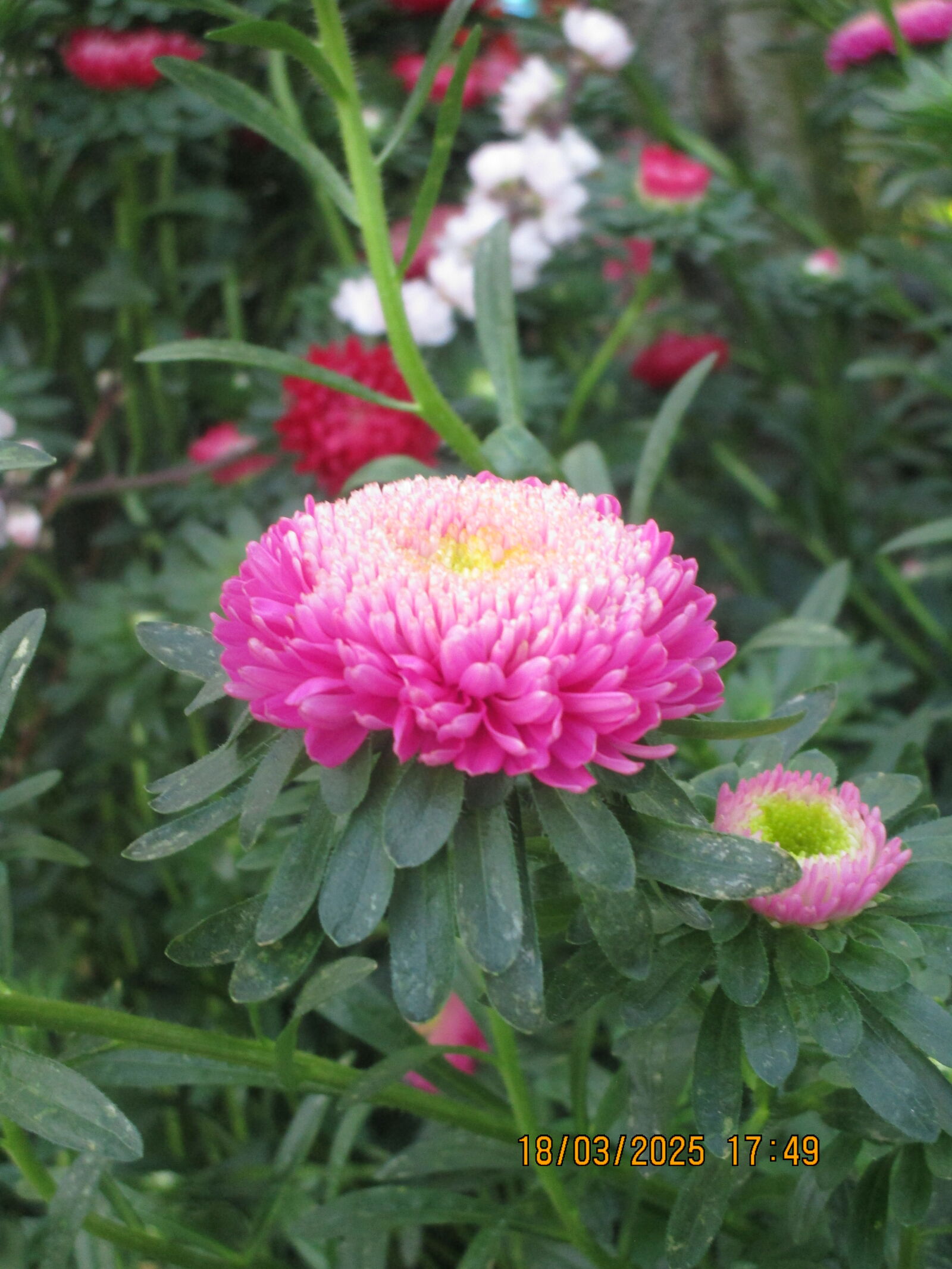 Canon PowerShot ELPH 150 IS (IXUS 155 / IXY 140) sample photo