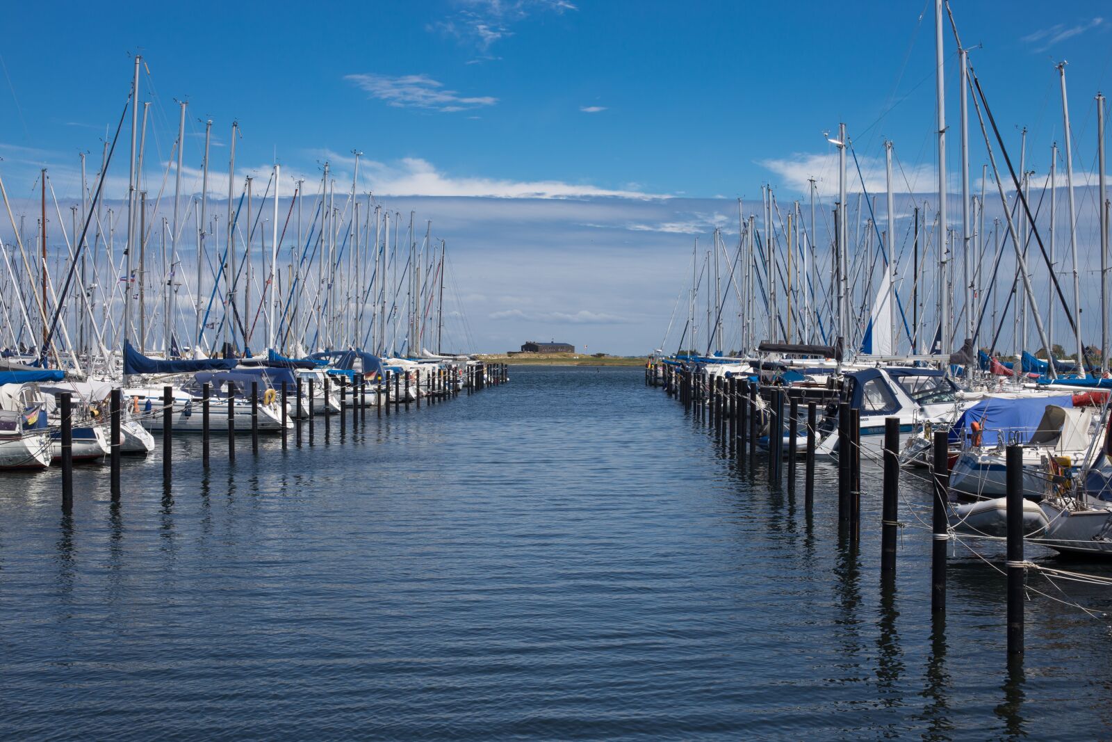 Canon EOS 6D + Canon EF 50mm F1.4 USM sample photo. Water, baltic sea, sea photography