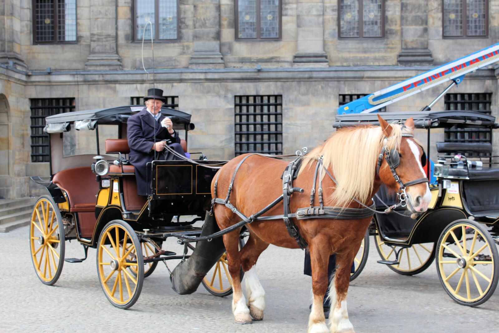 Canon EOS 650D (EOS Rebel T4i / EOS Kiss X6i) sample photo. Horse, cart, lifestyle photography