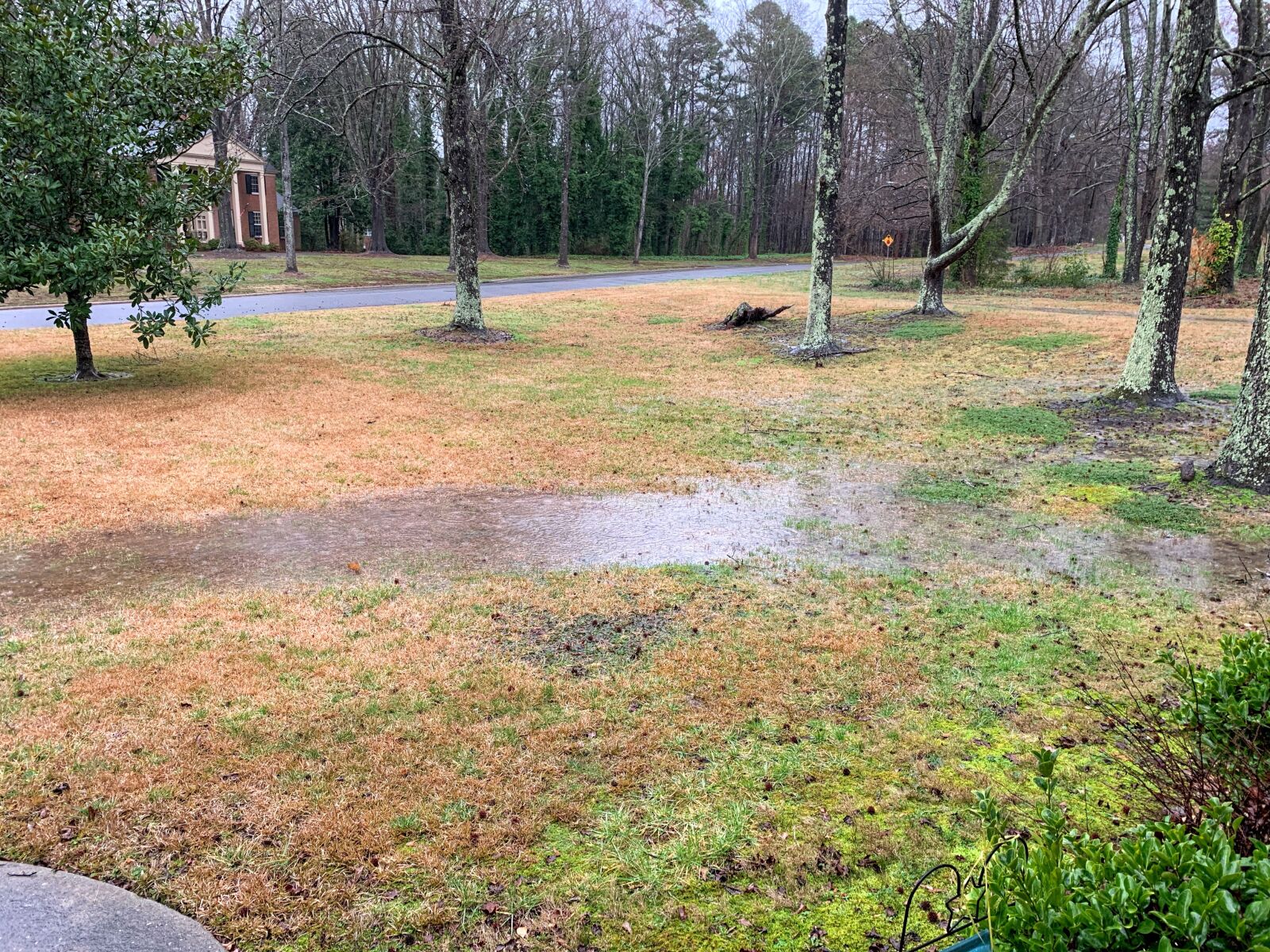 Apple iPhone XR sample photo. Flood, rain, flooding photography