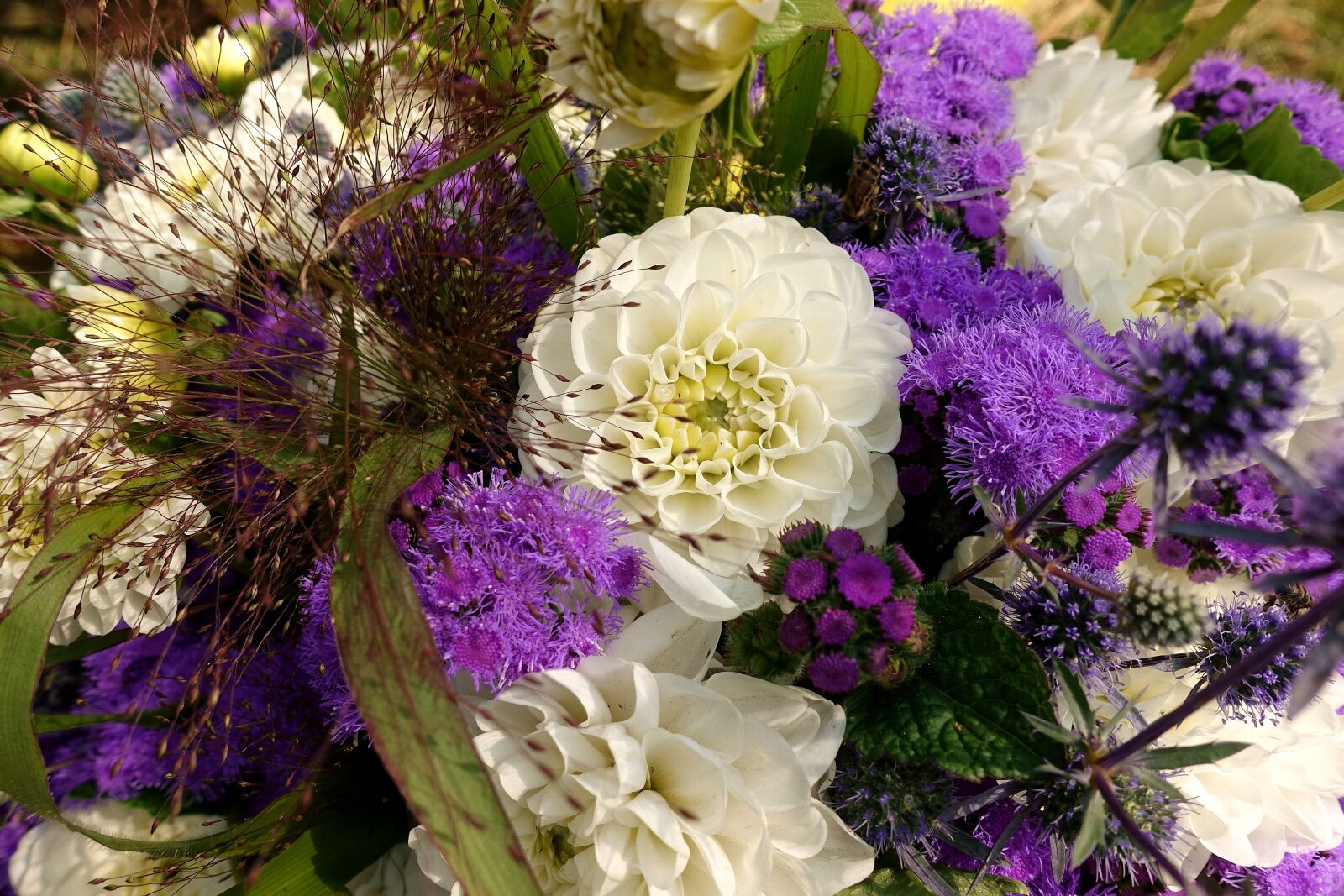 Sony DSC-RX100M5 sample photo. Dahlias, summer flowers, colorful photography