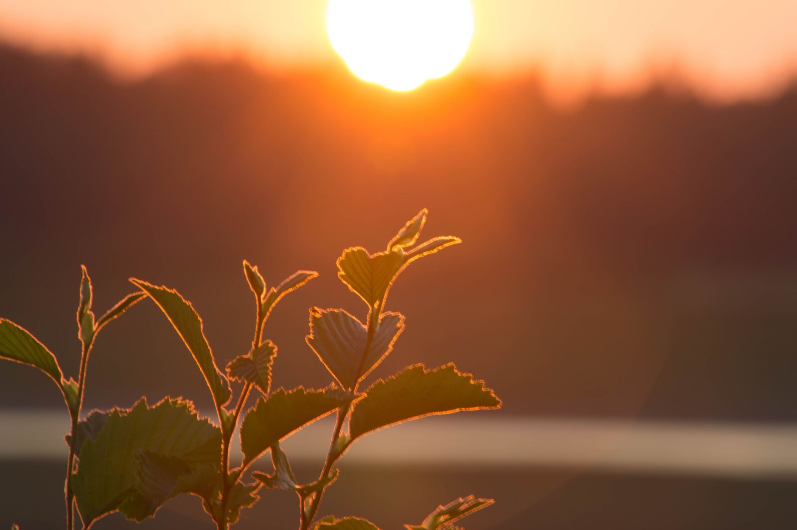 Nikon D3200 sample photo. Sunset, the evening sun photography