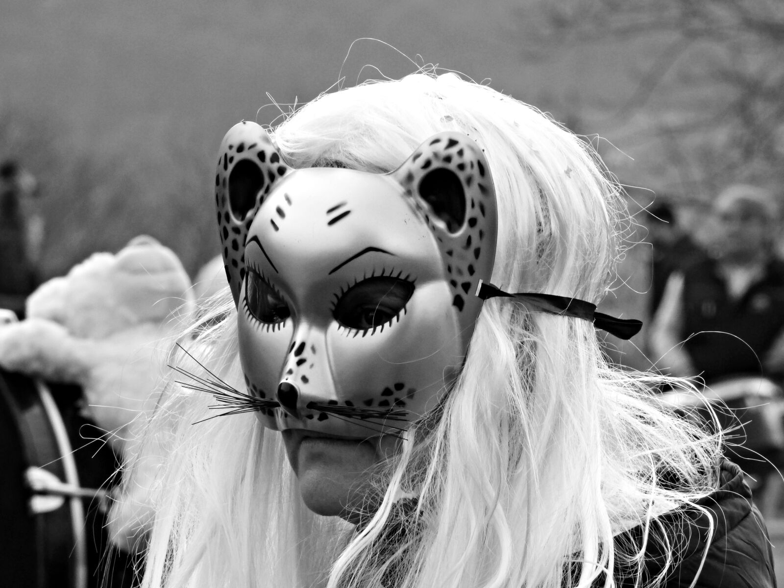 Panasonic DMC-FZ72 sample photo. Mask, carnival, masked photography