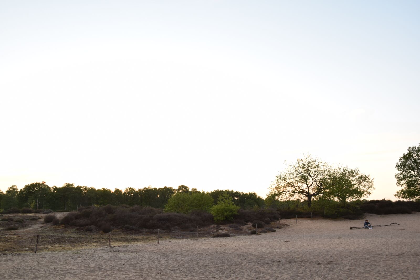 Nikon D3300 sample photo. Hei, sunset, woman photography