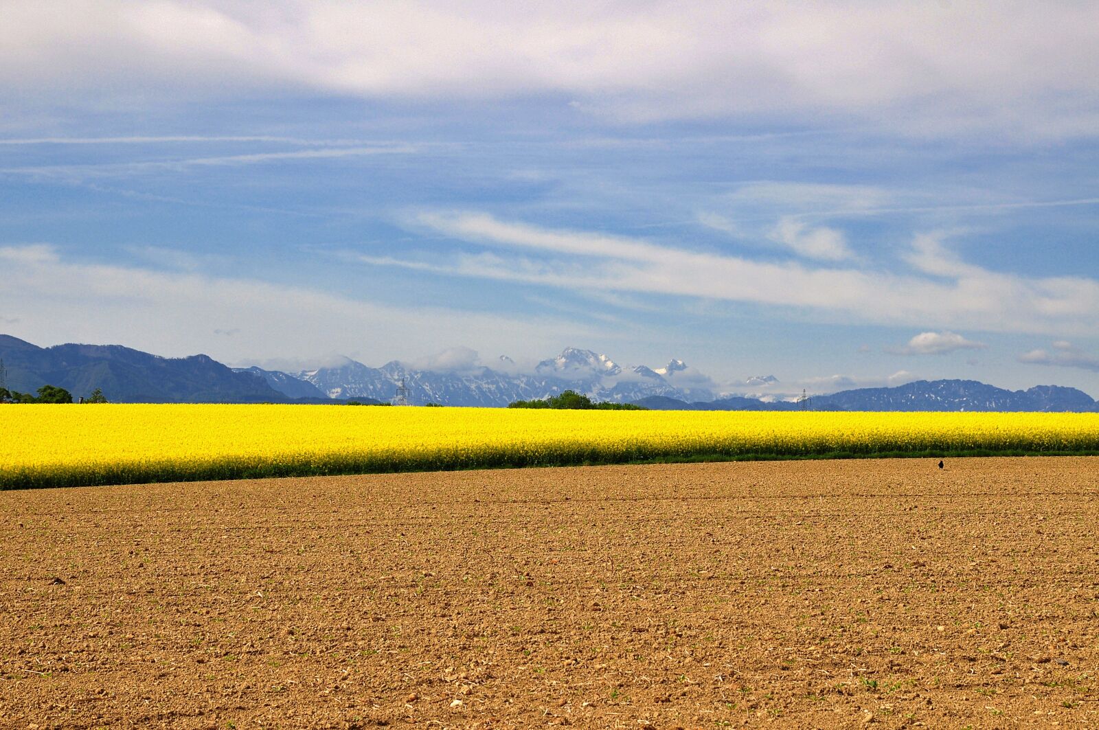 Nikon D90 sample photo. Landscape, nature, field photography