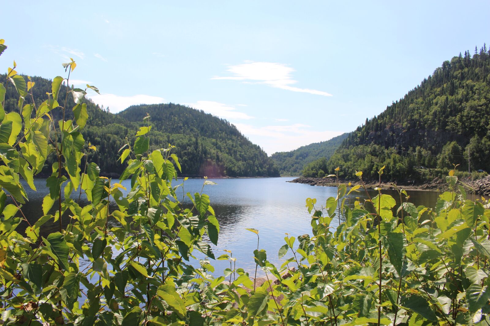 Canon EOS 100D (EOS Rebel SL1 / EOS Kiss X7) sample photo. Forest, river, nature photography