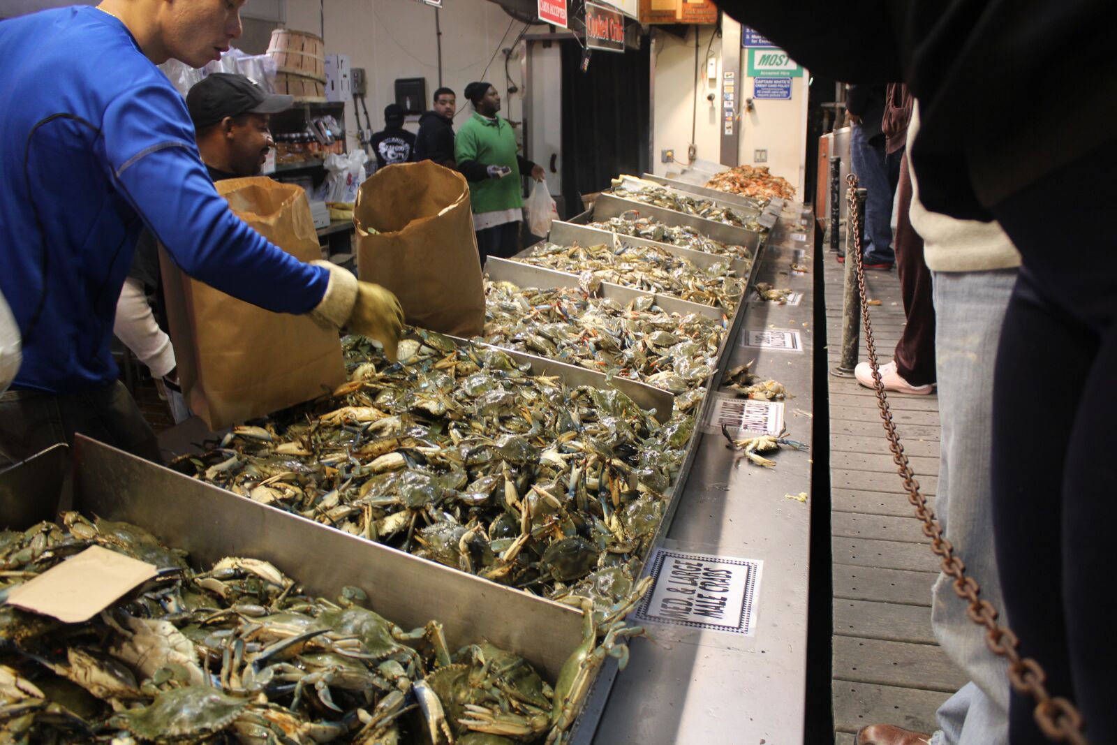 Canon EOS 600D (Rebel EOS T3i / EOS Kiss X5) sample photo. Washington dc, crab, seafood photography