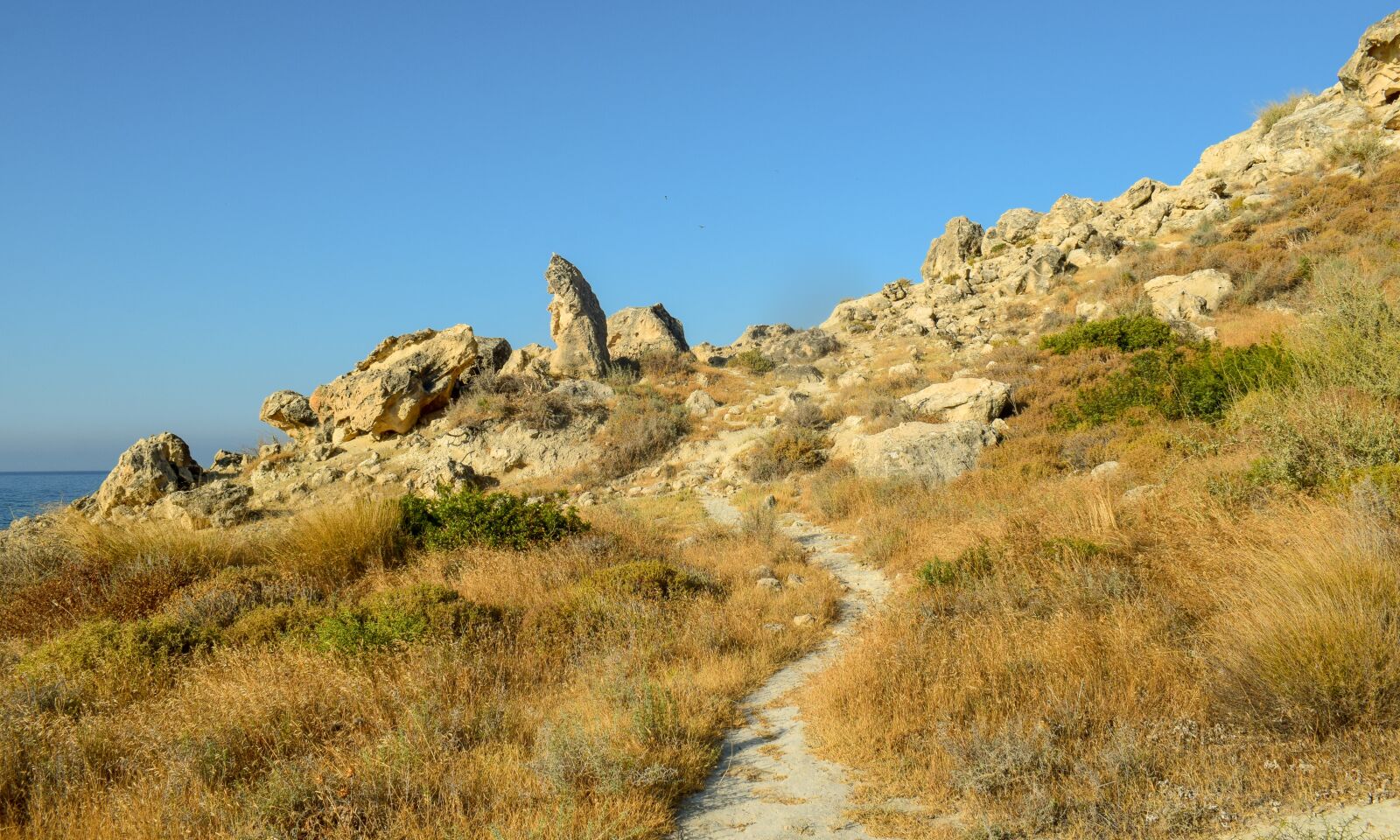 Nikon D3300 sample photo. Path, wilderness, landscape photography