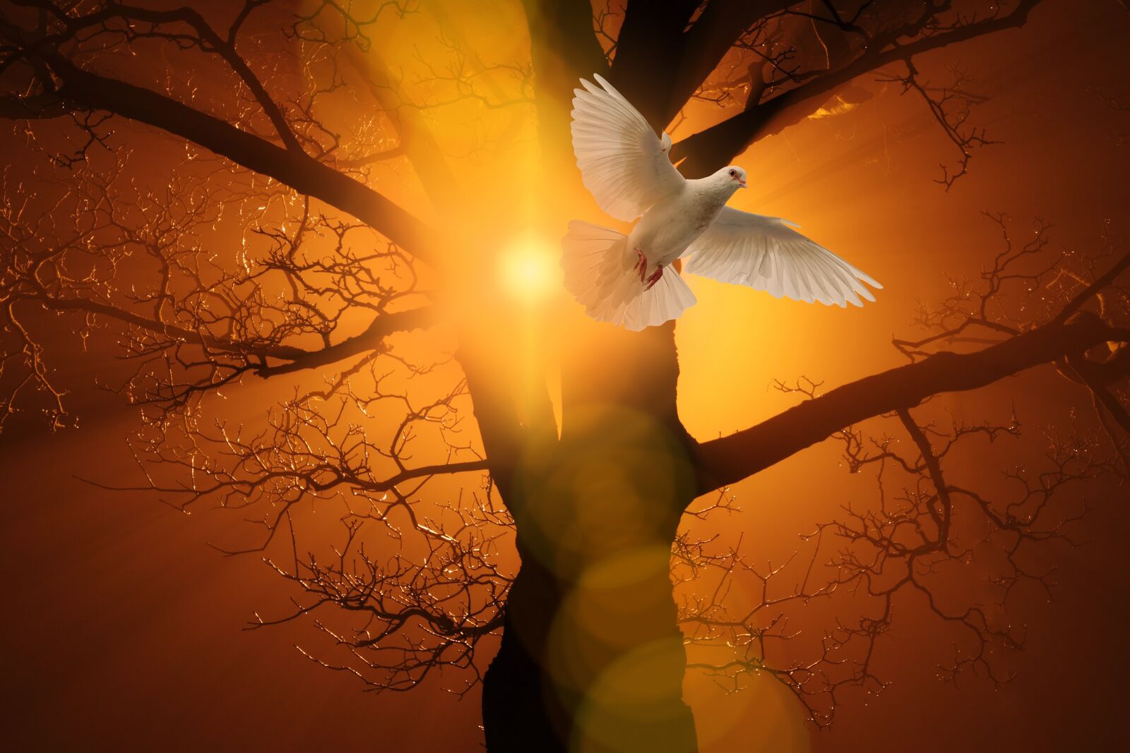 Canon EOS 50D sample photo. Pentecost, holy spirit, christianity photography