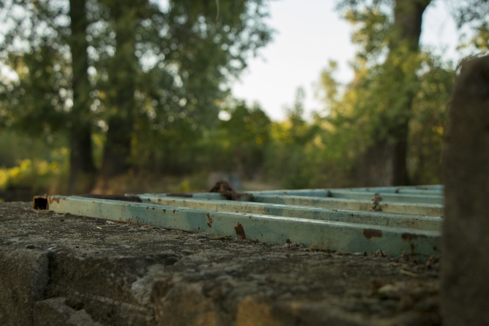 Canon EOS 70D sample photo. Trees, channel, hatch photography