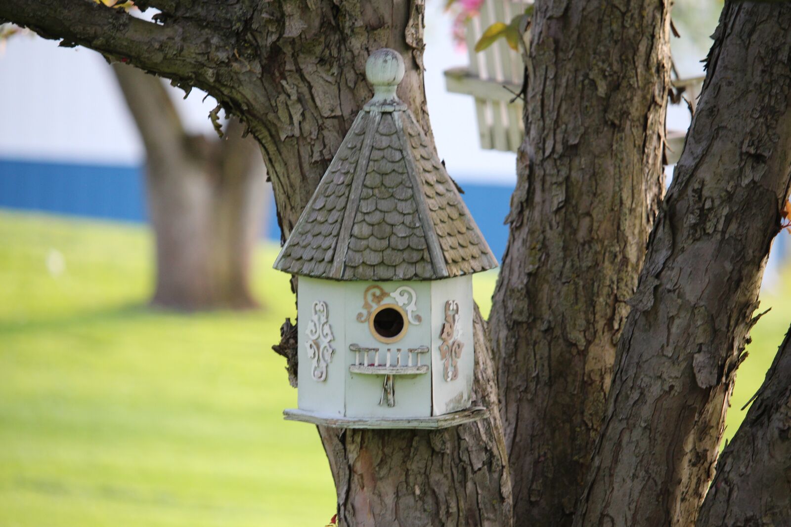 Canon EOS 650D (EOS Rebel T4i / EOS Kiss X6i) sample photo. Birdhouse, birds, tree photography