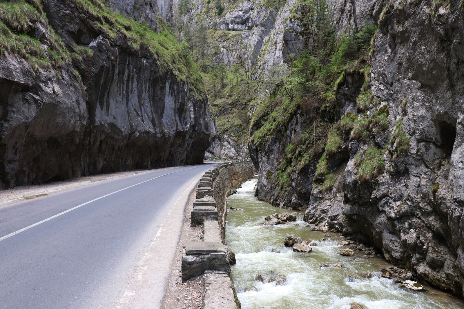 Canon EOS 200D (EOS Rebel SL2 / EOS Kiss X9) sample photo. River, road, rock photography