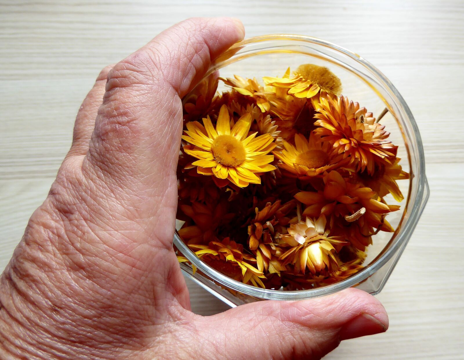 Panasonic DMC-TZ61 sample photo. Dried flowers, colorful, hand photography