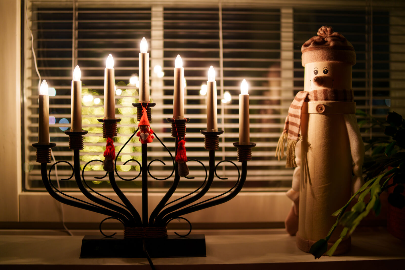 Samyang AF 35mm F1.4 P sample photo. Seasonal decoration photography