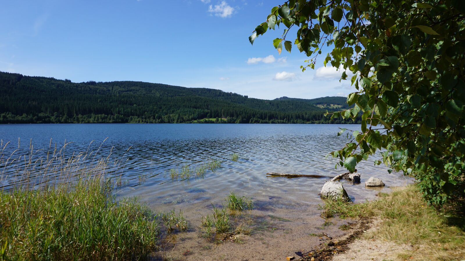 Sony E 16-50mm F3.5-5.6 PZ OSS sample photo. Schluchsee, water, black forest photography
