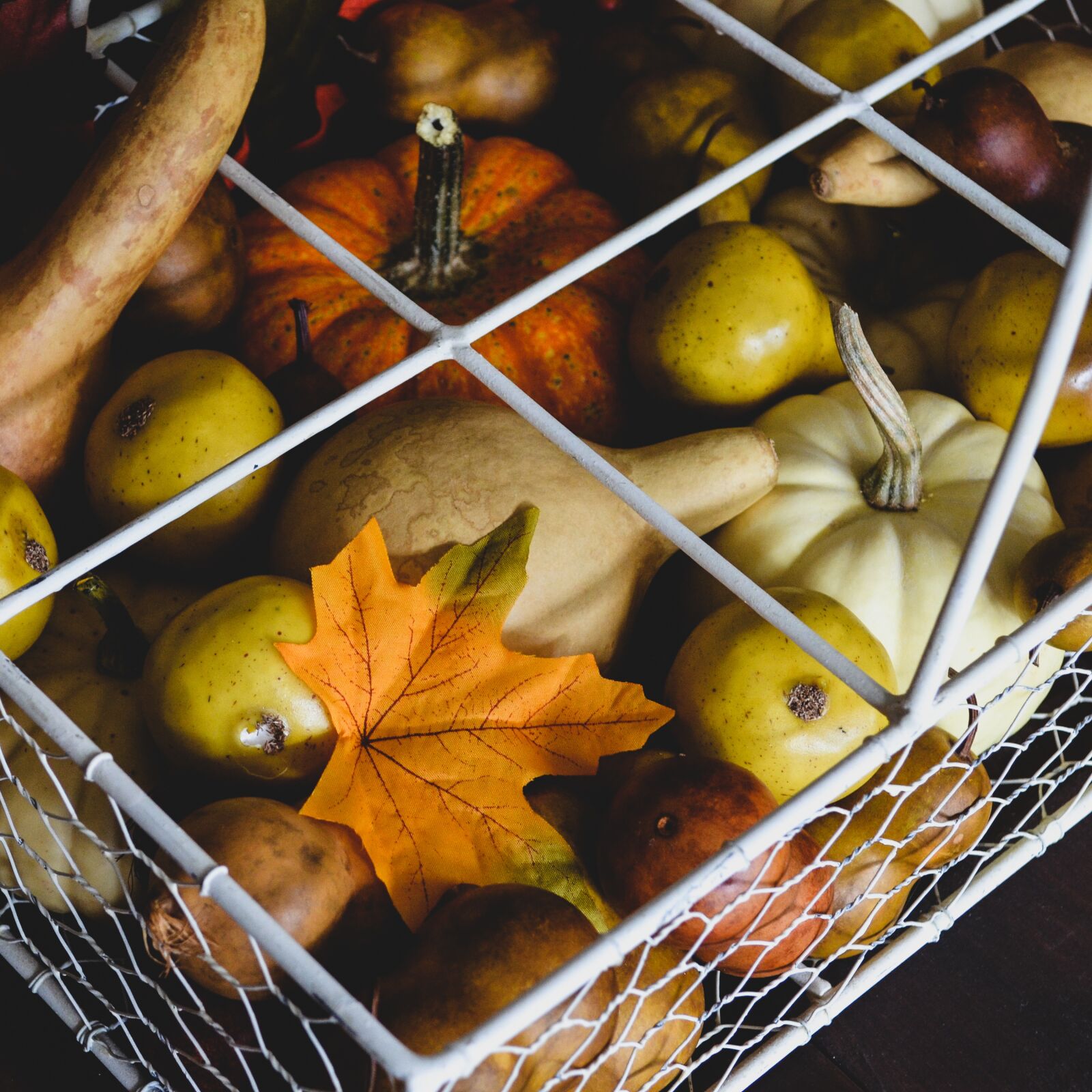 Nikon D5100 sample photo. Gourds, fall, seasons photography
