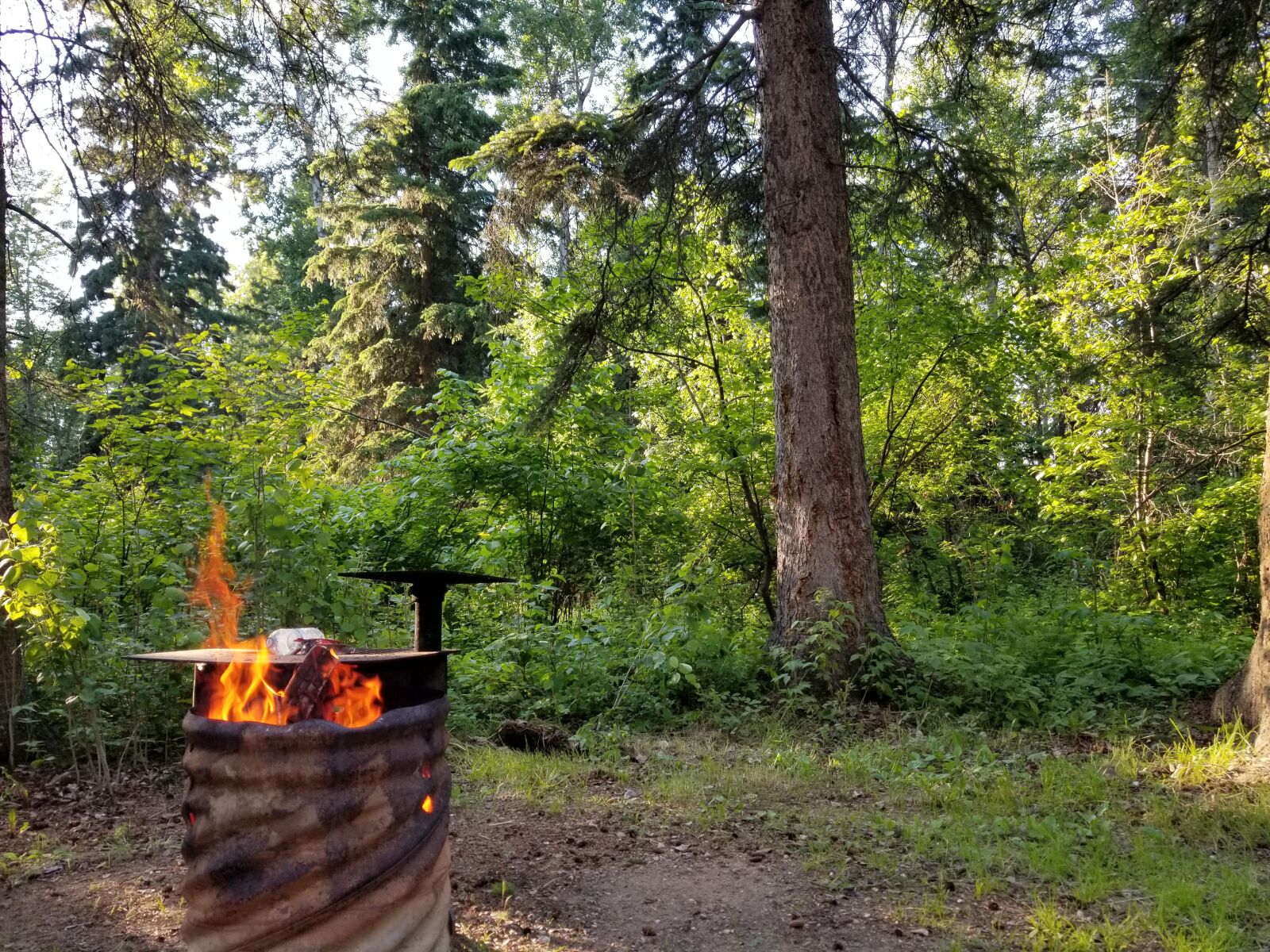 Samsung Galaxy S8 sample photo. Campfire, camping, forest photography