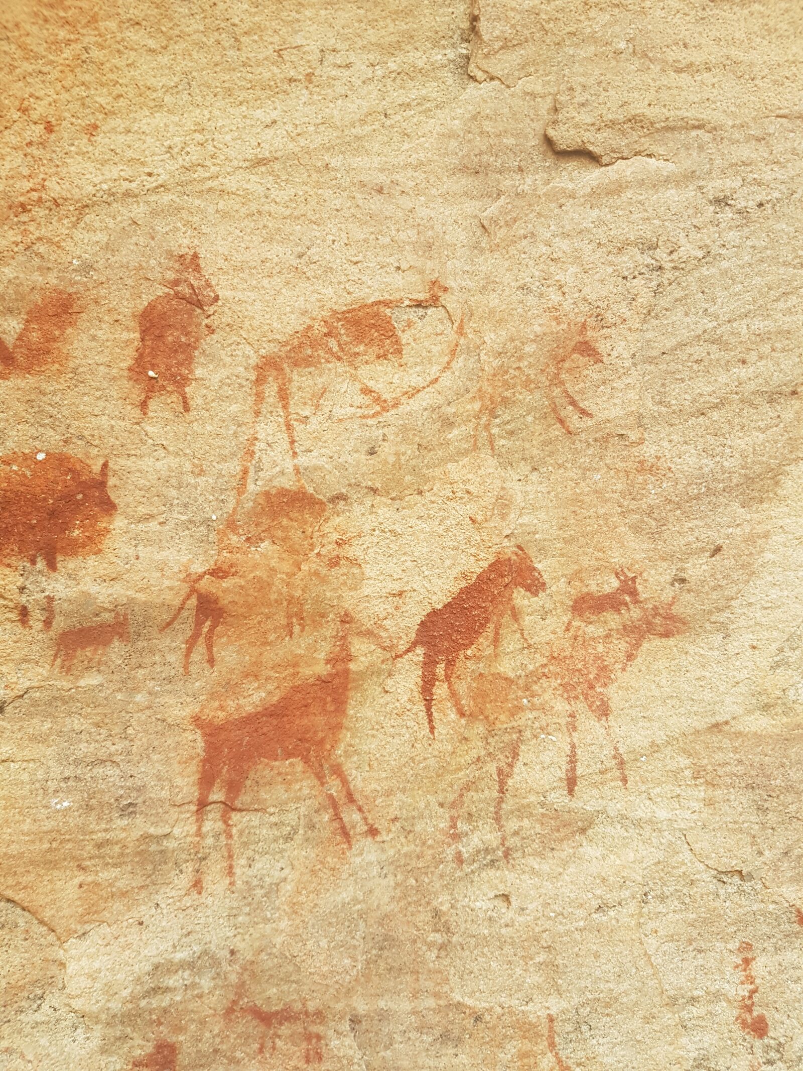 Samsung Galaxy S7 Edge sample photo. Rock art, painting, africa photography