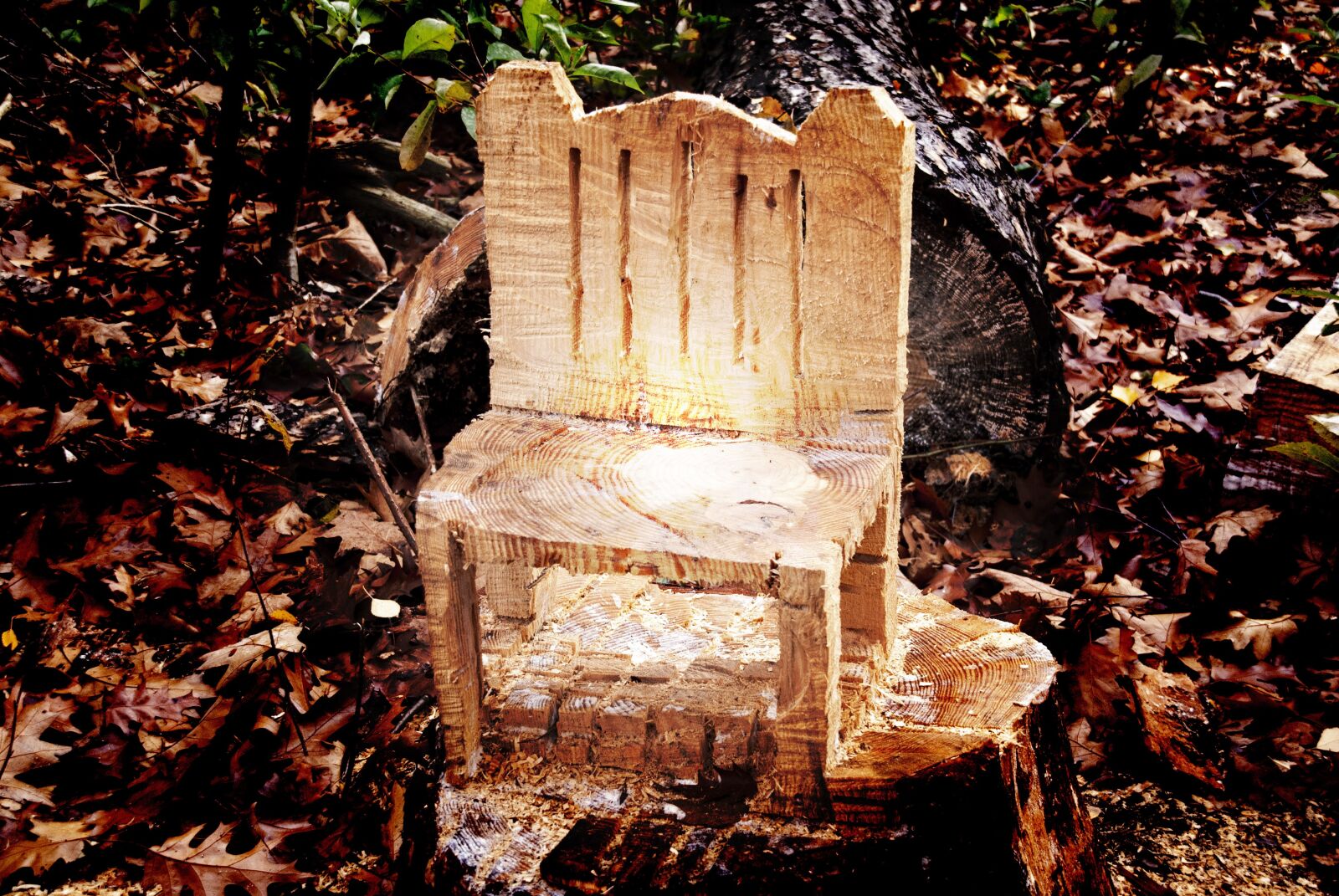 Sony Alpha DSLR-A100 sample photo. Chair, tree trunk, autumn photography