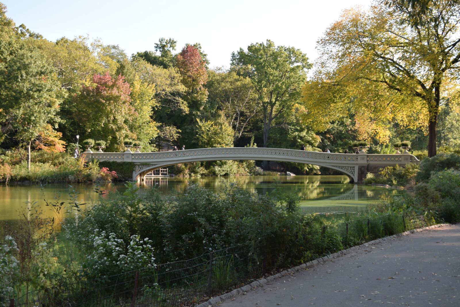 Nikon D3300 sample photo. Central park, manhattan, united photography