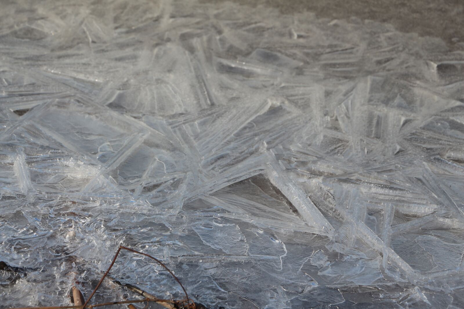 Canon EOS 650D (EOS Rebel T4i / EOS Kiss X6i) + Canon EF-S 18-135mm F3.5-5.6 IS STM sample photo. Ice crystals, frozen water photography