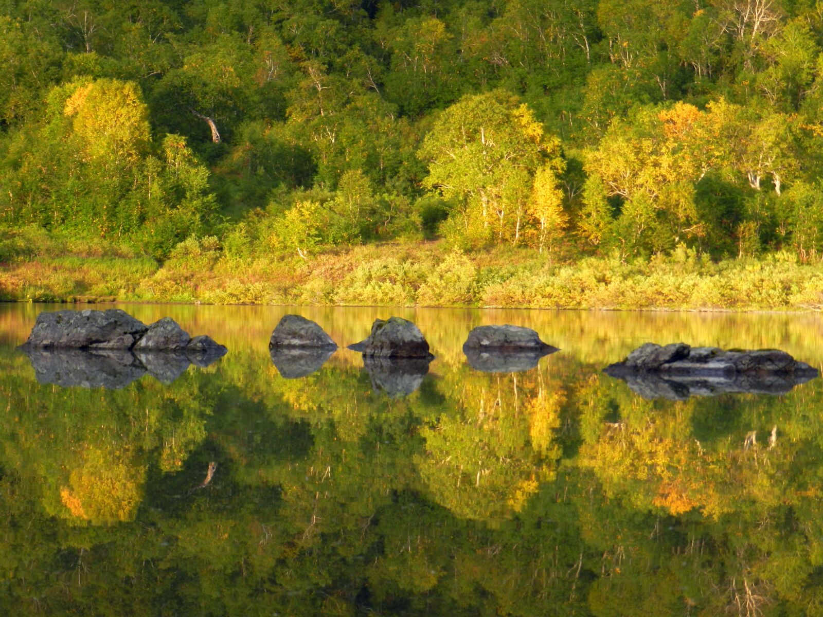 Nikon Coolpix P500 sample photo. Mountains, lake, forest photography