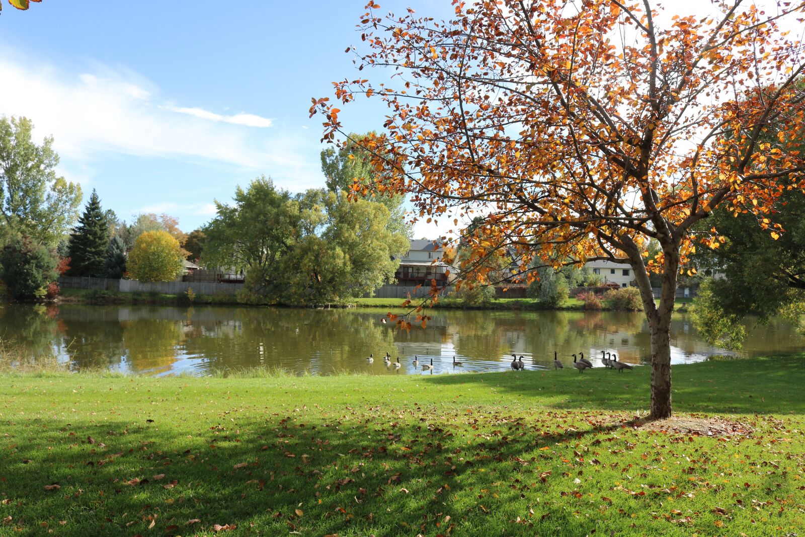 Canon EOS 750D (EOS Rebel T6i / EOS Kiss X8i) sample photo. Allen park, greeley, colorado photography