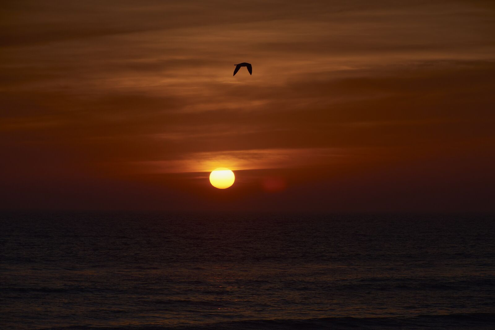Nikon D7200 sample photo. Sunset, landscape, horizon photography