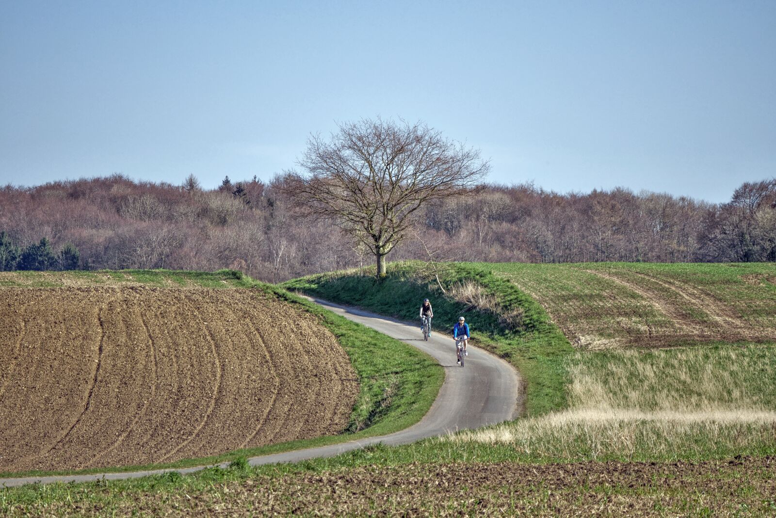 Panasonic Lumix DMC-GX85 (Lumix DMC-GX80 / Lumix DMC-GX7 Mark II) sample photo. Landscape, bicyclists, spring photography