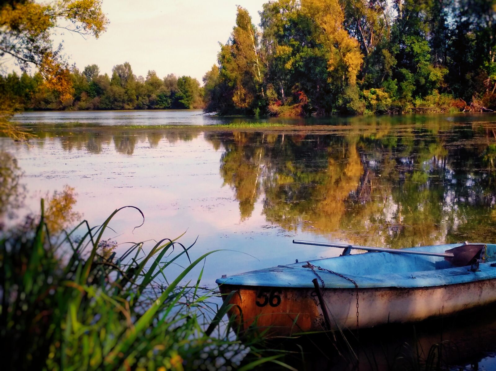 HUAWEI nova sample photo. River landscape, isarauen, autumn photography
