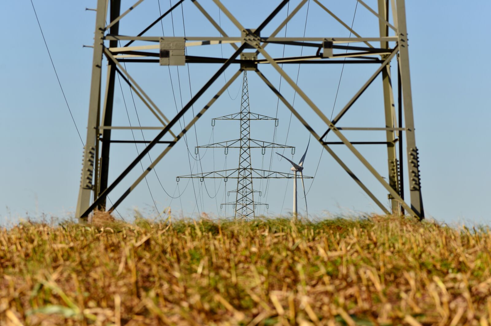 Nikon D600 sample photo. Energy, electricity, summer photography