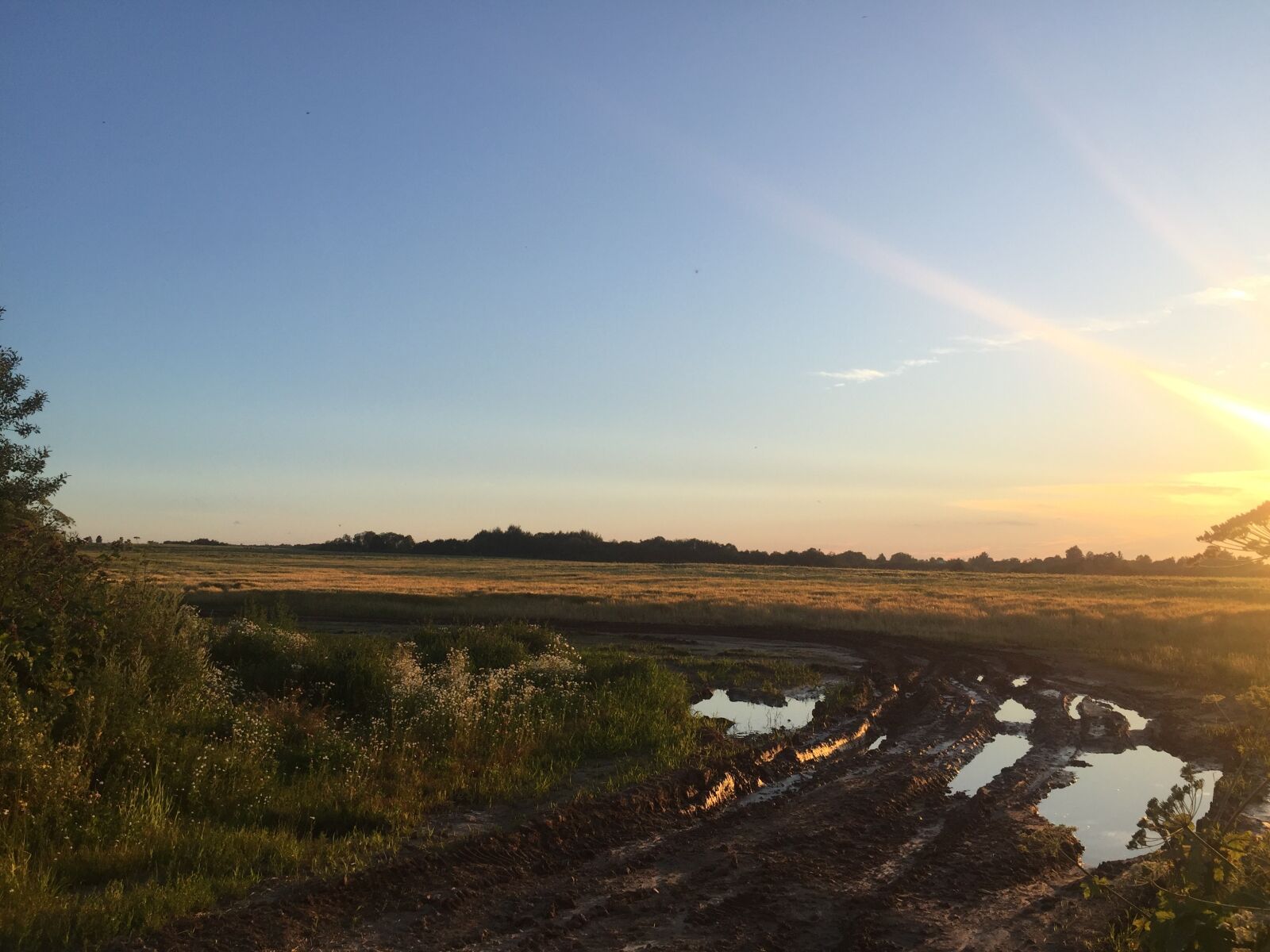 iPhone 6 Plus back camera 4.15mm f/2.2 sample photo. Summer, village, road photography