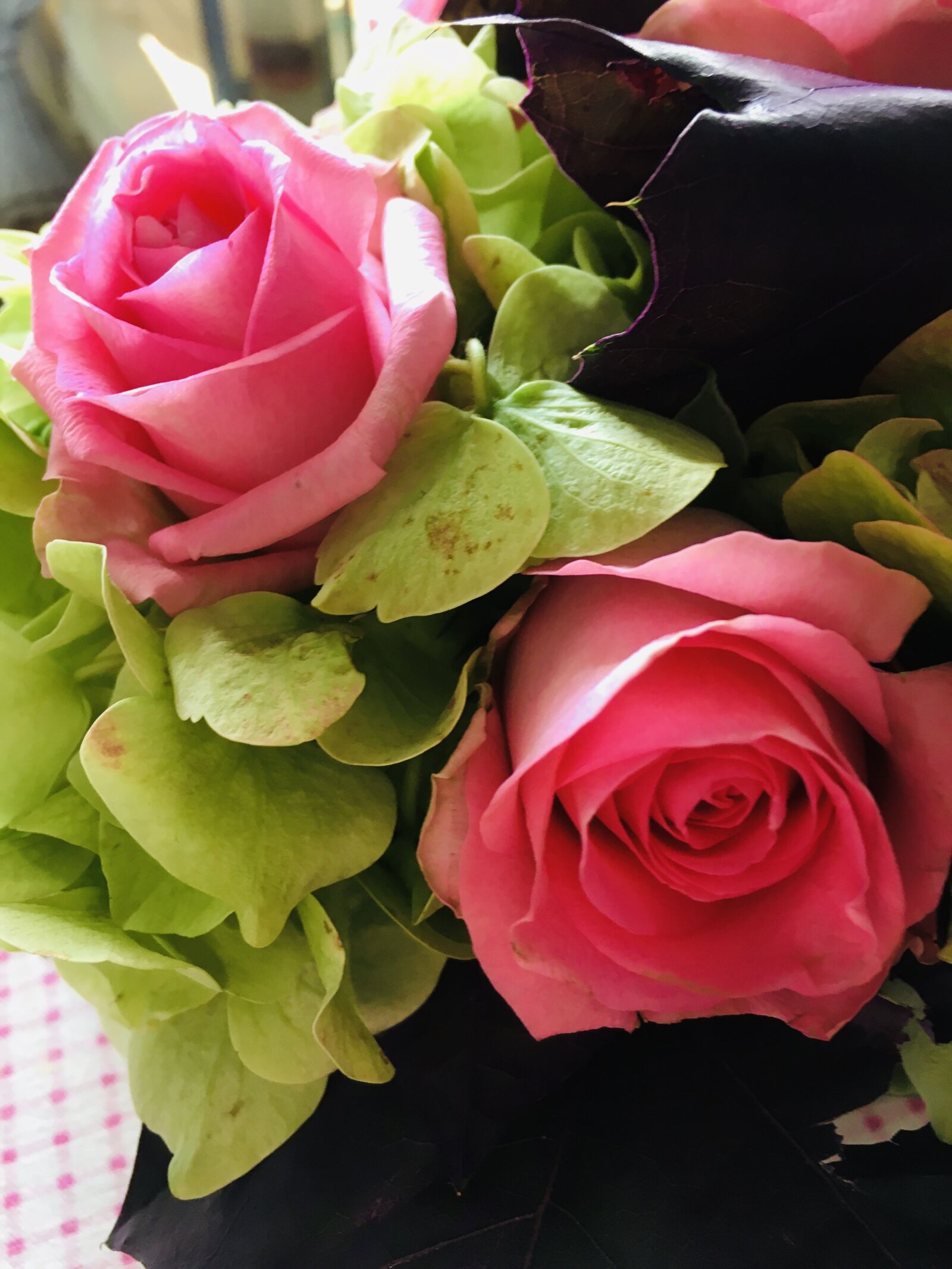 iPhone 6s back camera 4.15mm f/2.2 sample photo. Roses, fleurs, floral photography