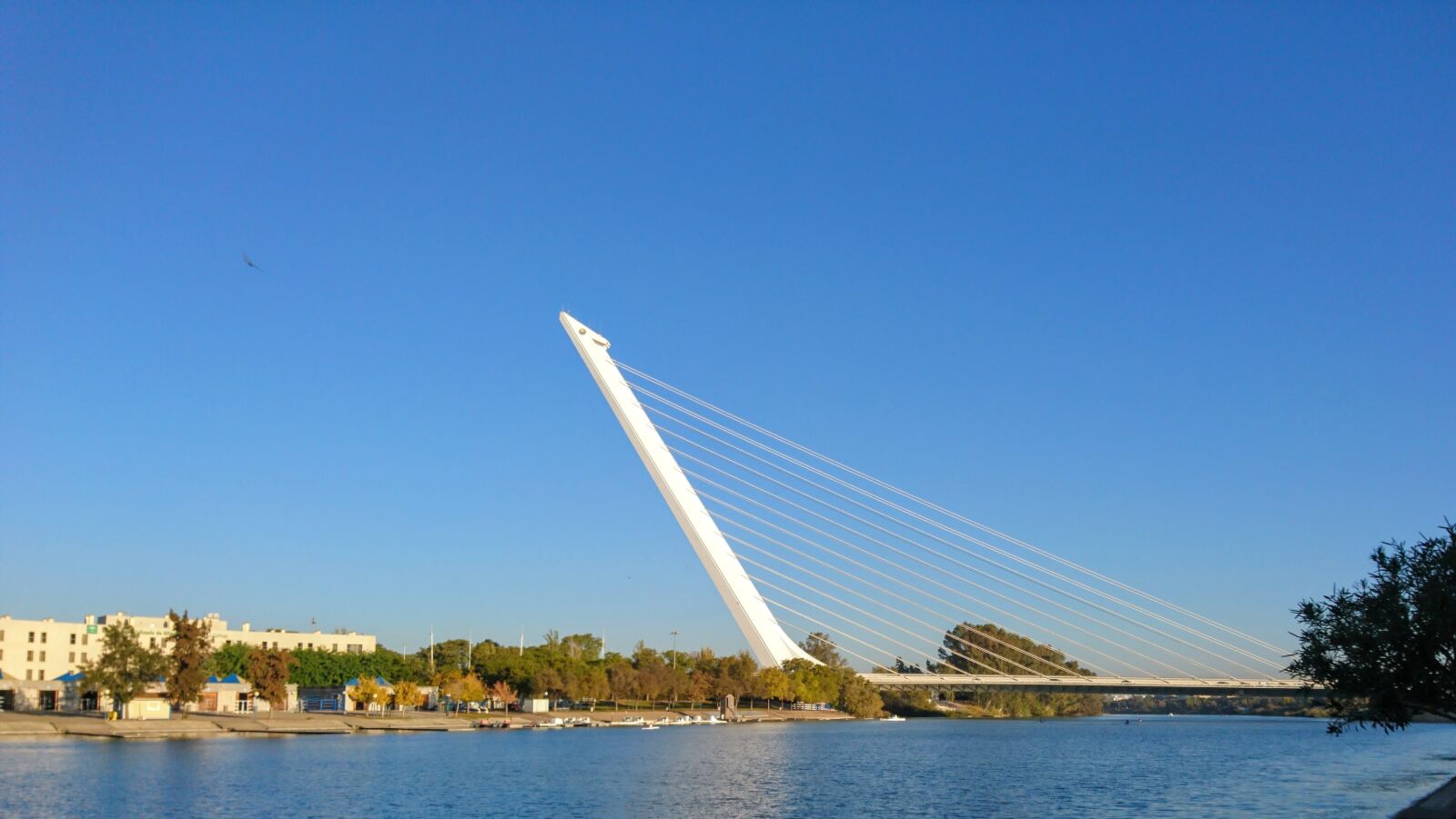 Sony Xperia X sample photo. Sevilla, calatrava, bridge photography
