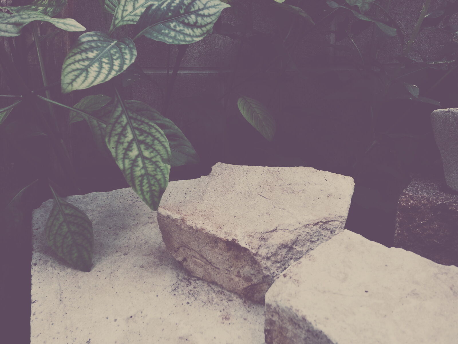 Samsung Galaxy Note2 sample photo