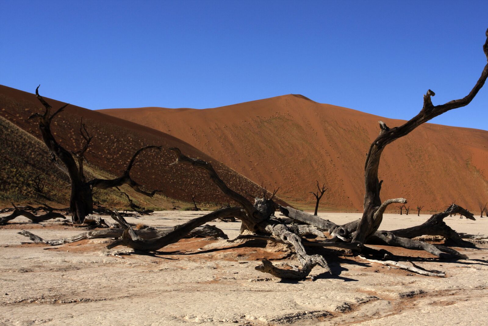 Canon EOS 40D sample photo. Namibia, sossusvlei, dunes photography