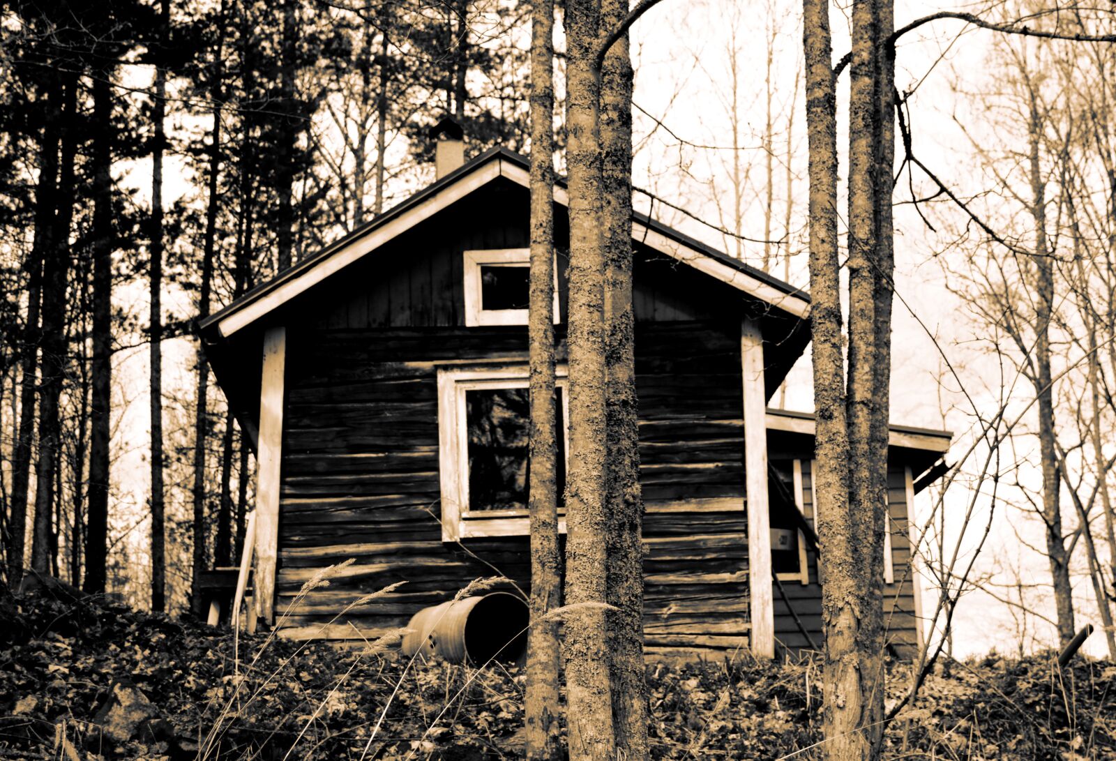Nikon D5100 sample photo. Cabin, old, rustic photography